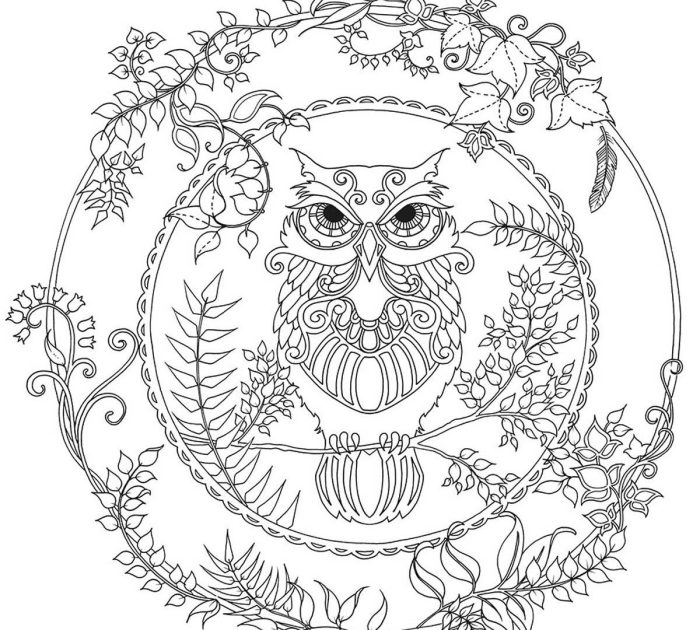 Enchanted forest coloring book