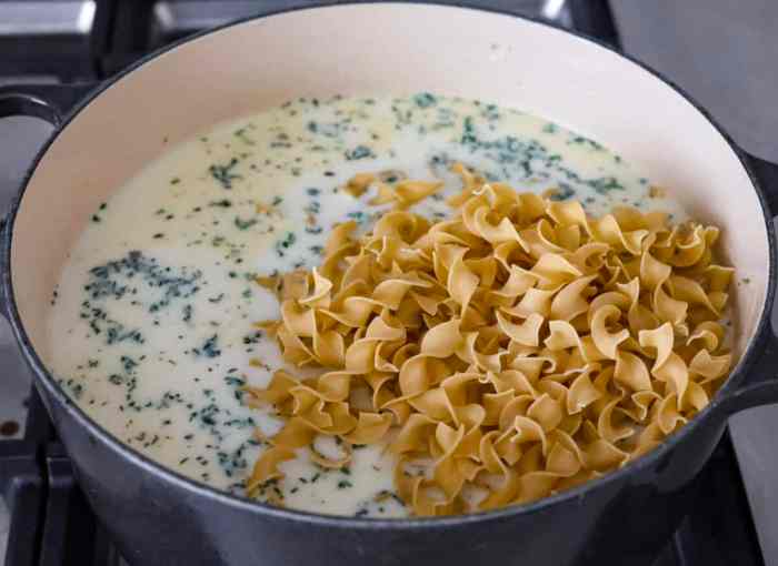 Chicken noodle soup with frozen egg noodles recipe