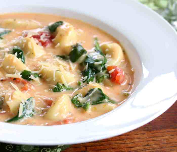 Crock pot tortellini soup recipe