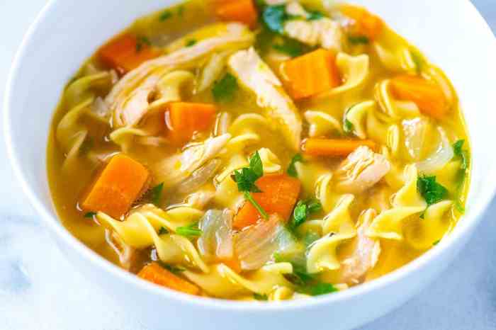 Chicken noodle soup recipe frozen egg noodles