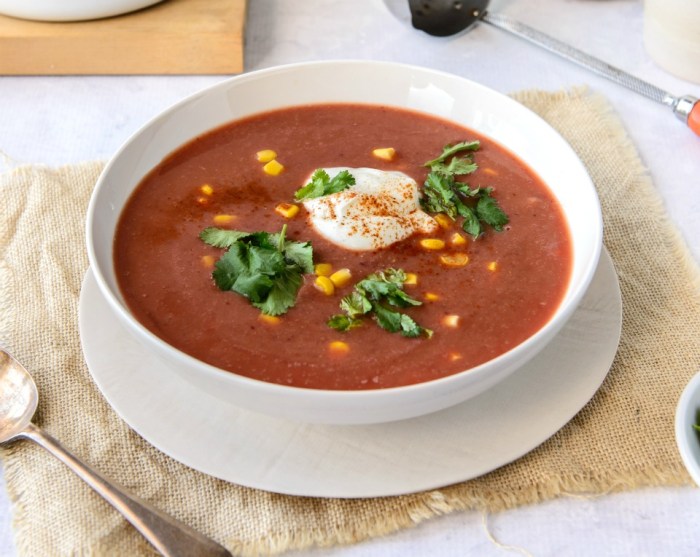 Vegan mexican soup recipes