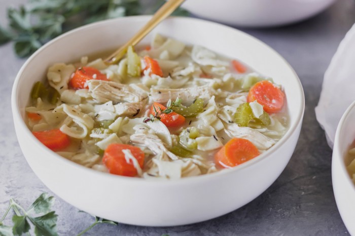 Slow cooker chicken soup recipes healthy