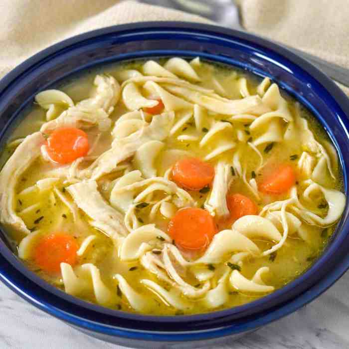 Chicken noodle soup recipe frozen egg noodles