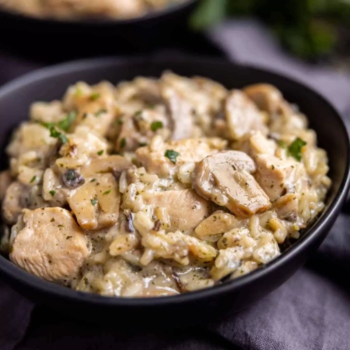 Chicken and mushroom soup casserole recipes with rice