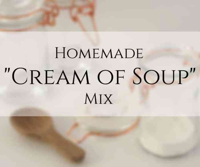 Dry cream of soup mix recipe