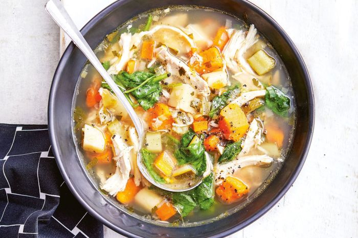 Chicken vegetable soup crock pot recipes