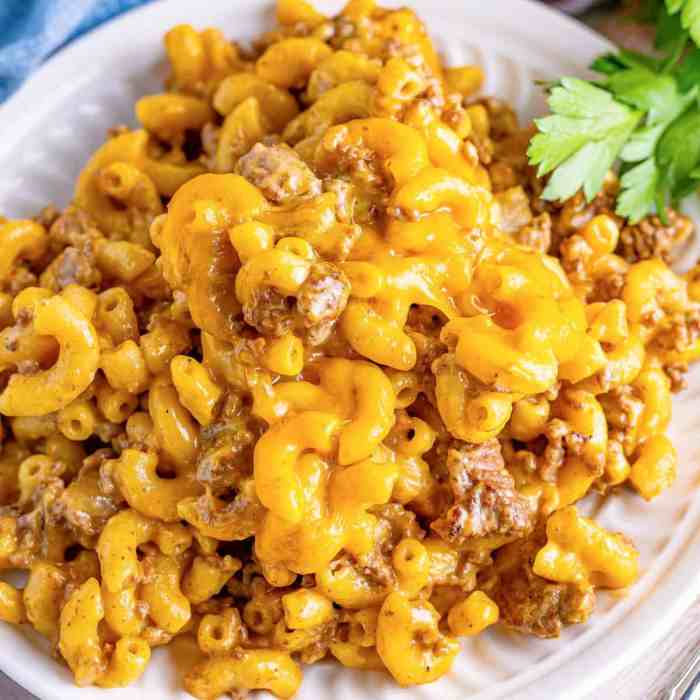 Cheeseburger macaroni soup recipe